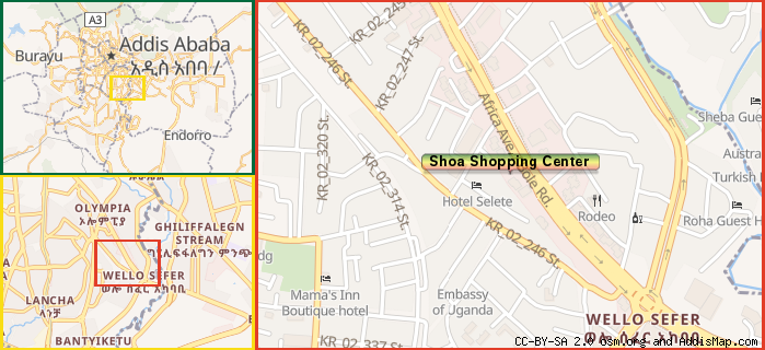 Shoa Shopping Center (Supermarket) (Kirkos, Addis Ababa, Ethiopia)